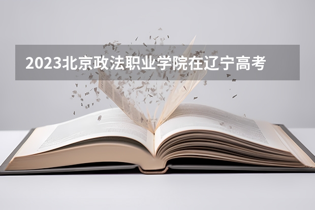 2023北京政法职业学院在辽宁高考专业招生计划人数