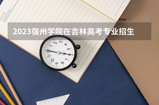 2023宿州学院在吉林高考专业招生计划人数