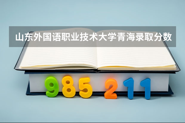 山东外国语职业技术大学青海录取分数线 山东外国语职业技术大学青海招生人数多少