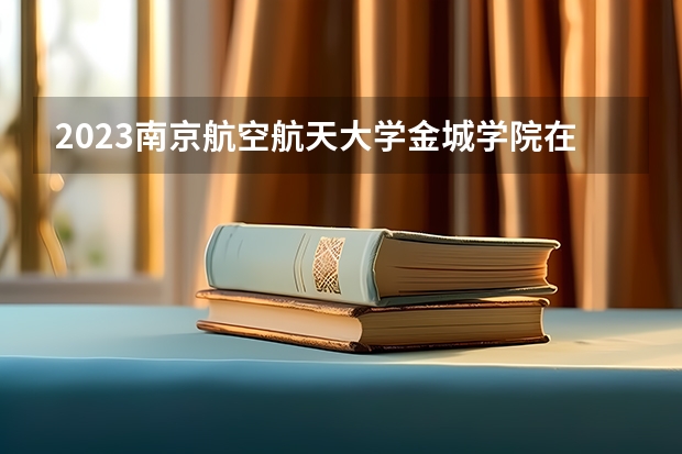 2023南京航空航天大学金城学院在上海高考专业招生计划人数