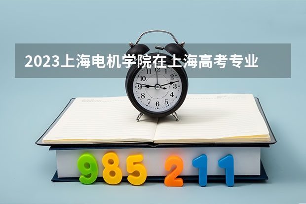 2023上海电机学院在上海高考专业招生计划人数