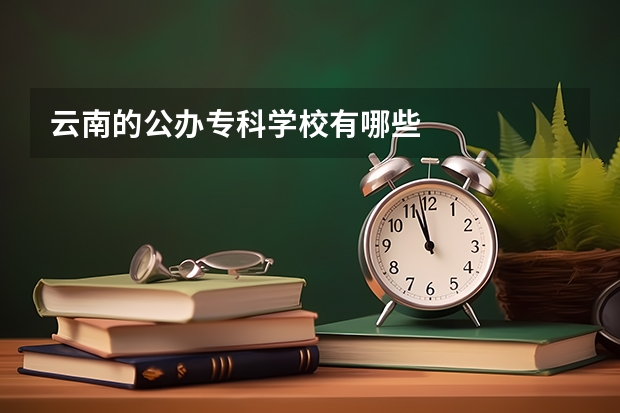 云南的公办专科学校有哪些