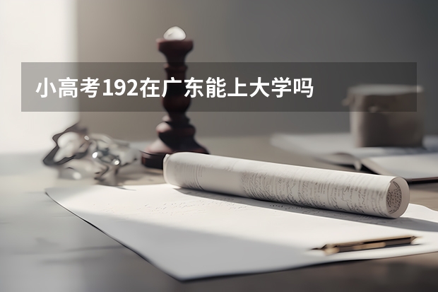 小高考192在广东能上大学吗