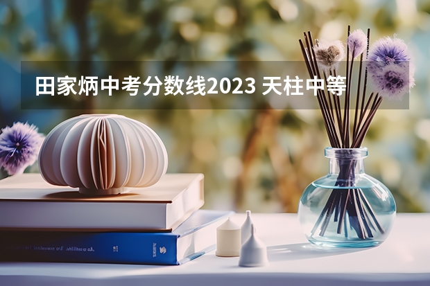 田家炳中考分数线2023 天柱中等职业技术学校招生录取分数线