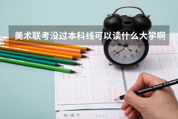 美术联考没过本科线可以读什么大学啊？