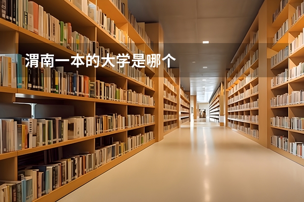 渭南一本的大学是哪个