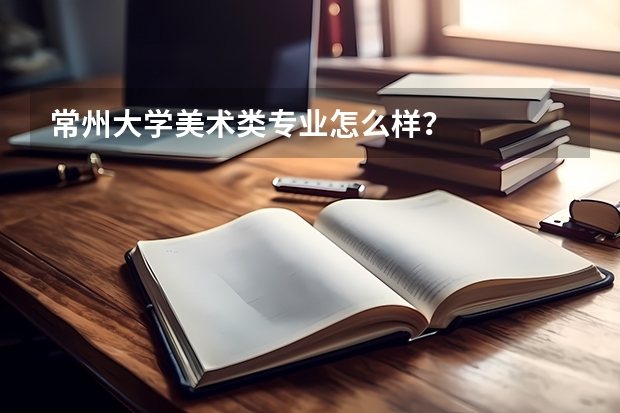 常州大学美术类专业怎么样？