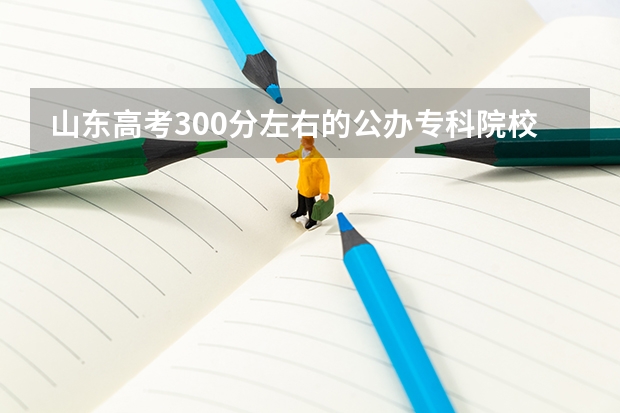 山东高考300分左右的公办专科院校有哪些？