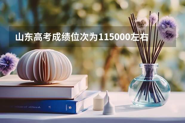 山东高考成绩位次为115000左右,可以报考的省内大学有哪些？