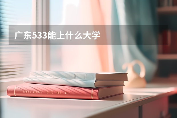 广东533能上什么大学