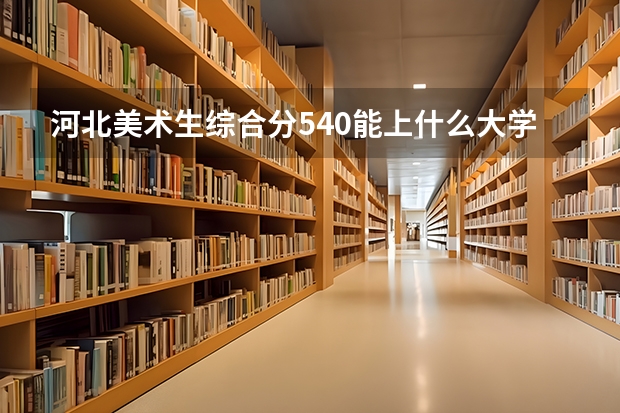 河北美术生综合分540能上什么大学？