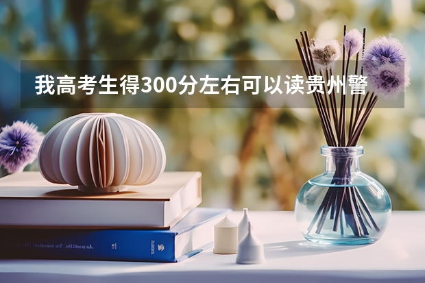 我高考生得300分左右可以读贵州警校吗