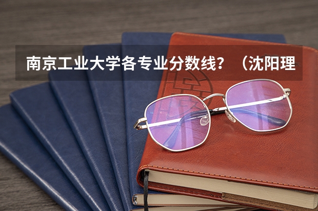 南京工业大学各专业分数线？（沈阳理工大学专业分数）