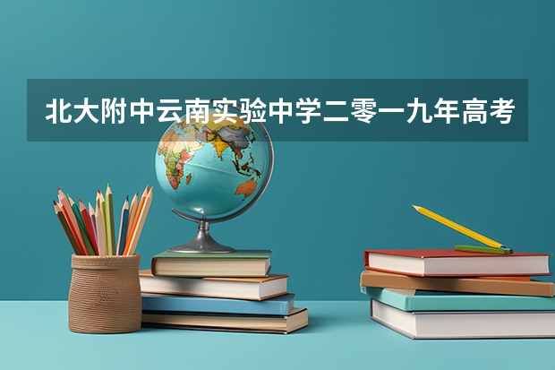 北大附中云南实验中学二零一九年高考成绩如何？