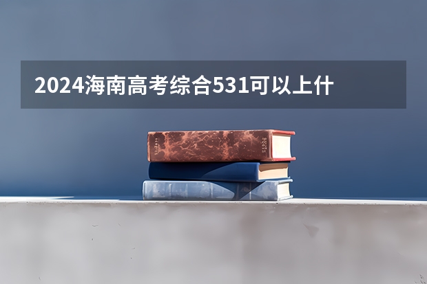 2024海南高考综合531可以上什么大学预测