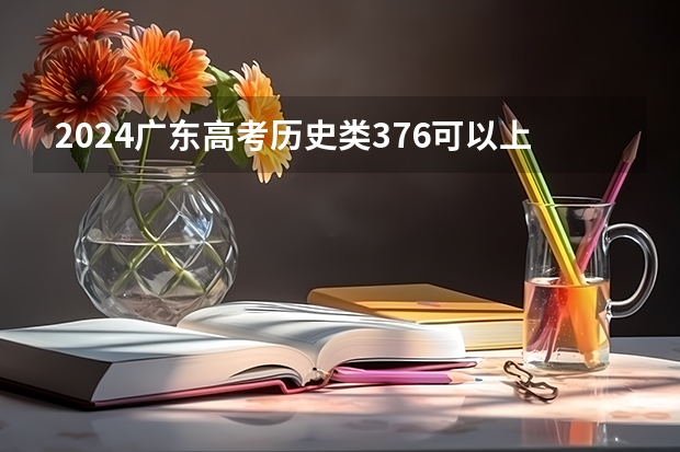 2024广东高考历史类376可以上什么大学预测