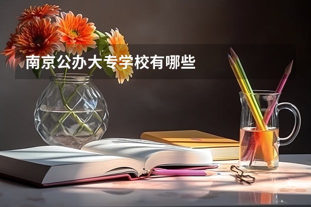 南京公办大专学校有哪些