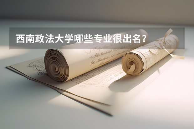 西南政法大学哪些专业很出名？