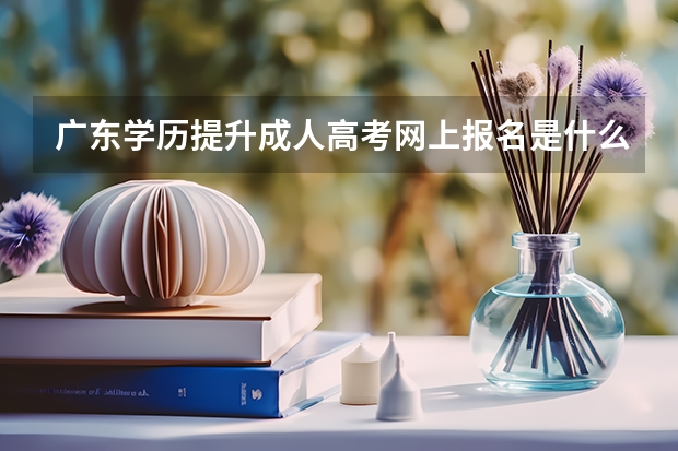 广东学历提升成人高考网上报名是什么时候？