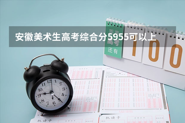 安徽美术生高考综合分595.5可以上什么大学？