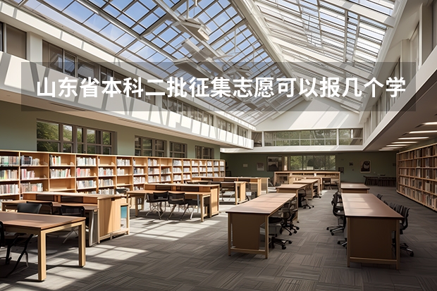 山东省本科二批征集志愿可以报几个学校？ 本科二批征集志愿可报几个学校