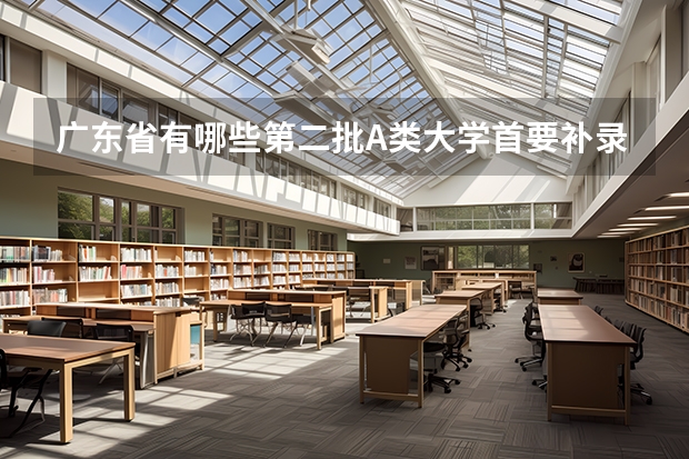 广东省有哪些第二批A类大学首要补录