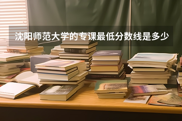 沈阳师范大学的专课最低分数线是多少呢？？