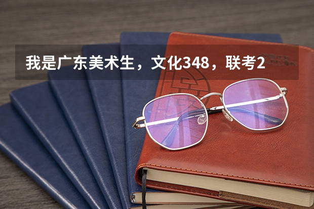 我是广东美术生，文化348，联考226~可以报什么大学