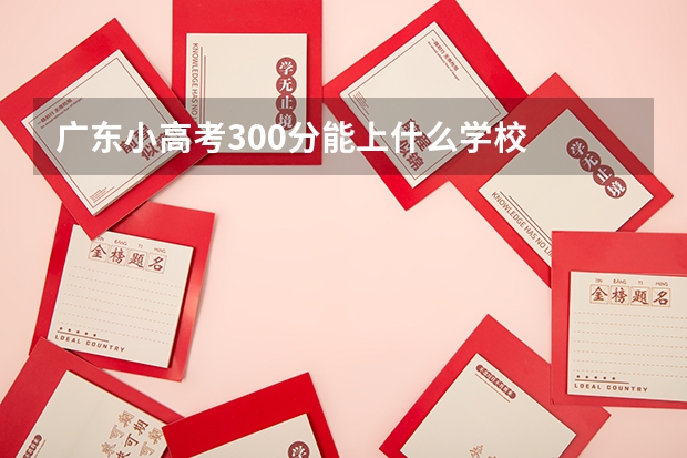 广东小高考300分能上什么学校