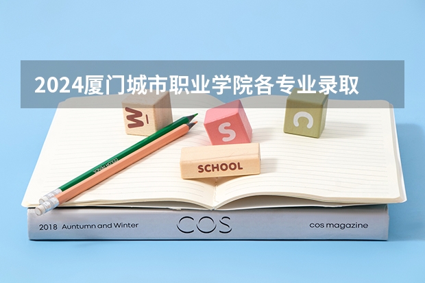 2024厦门城市职业学院各专业录取分数线（福建大专排名及录取分数线排名）